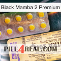 Black Mamba 2 Premium new06